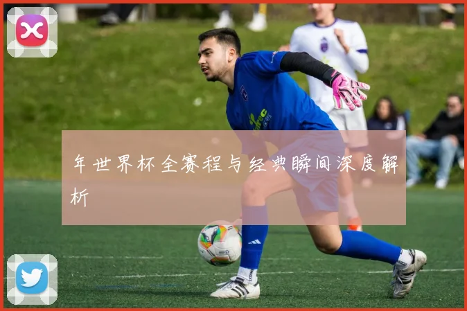 年世界杯全赛程与经典瞬间深度解析
